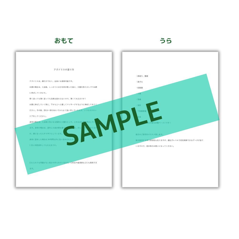 アズイリス使い方説明書(アズイリス購入点数分まで同梱）